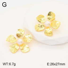 2E3003147vbll-434  Stainless Steel Earrings