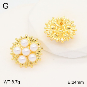 2E3003148vbll-434  Stainless Steel Earrings