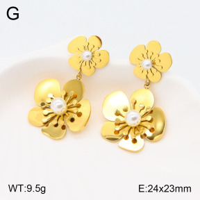 2E3003151bhbl-434  Stainless Steel Earrings