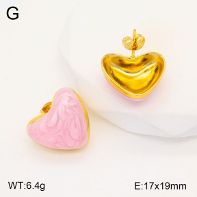 2E3003152vbmb-434  Stainless Steel Earrings