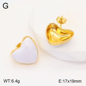 2E3003154vbmb-434  Stainless Steel Earrings