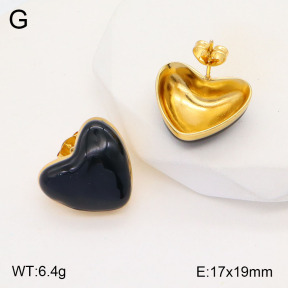 2E3003155vbmb-434  Stainless Steel Earrings