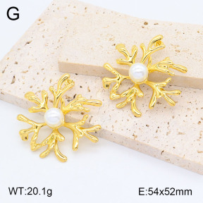 2E3003156bhbl-434  Stainless Steel Earrings