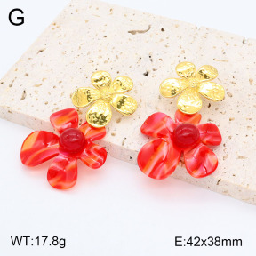 2E3003157vhha-434  Stainless Steel Earrings