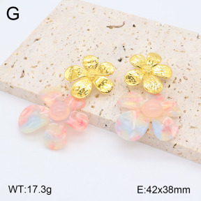 2E3003158vhha-434  Stainless Steel Earrings
