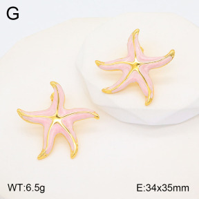 2E3003159vbmb-434  Stainless Steel Earrings