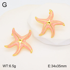 2E3003160vbmb-434  Stainless Steel Earrings