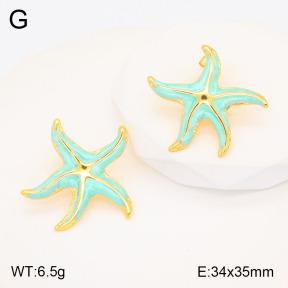 2E3003162vbmb-434  Stainless Steel Earrings