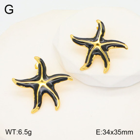 2E3003163vbmb-434  Stainless Steel Earrings