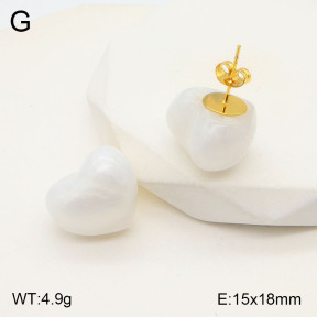 2E3003164vbll-434  Stainless Steel Earrings