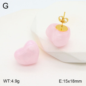 2E3003165vbll-434  Stainless Steel Earrings
