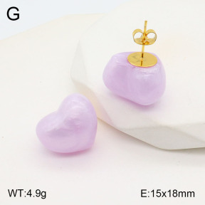 2E3003166vbll-434  Stainless Steel Earrings