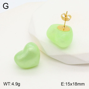 2E3003167vbll-434  Stainless Steel Earrings