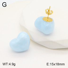 2E3003168vbll-434  Stainless Steel Earrings