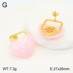2E3003170bbml-434  Stainless Steel Earrings