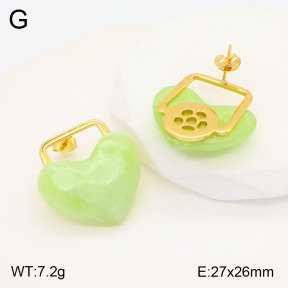 2E3003172bbml-434  Stainless Steel Earrings