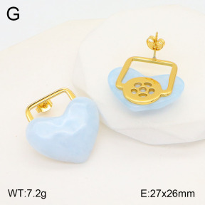 2E3003173abmm-434  Stainless Steel Earrings