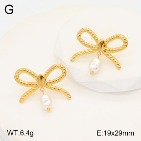 2E3003174vbmb-434  Stainless Steel Earrings