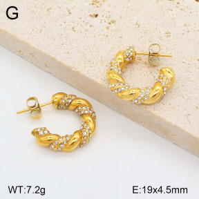 2E4004137bhia-749  Stainless Steel Earrings