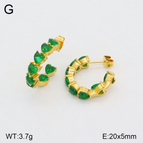 2E4004138bhva-749  Stainless Steel Earrings