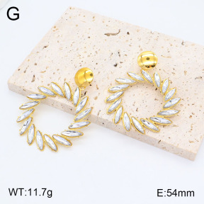 2E4004139vhkl-434  Stainless Steel Earrings