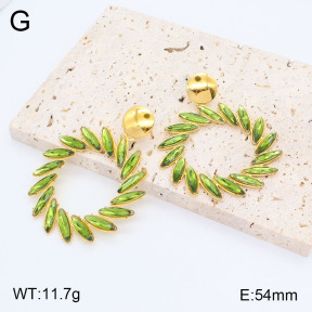 2E4004140vhkl-434  Stainless Steel Earrings