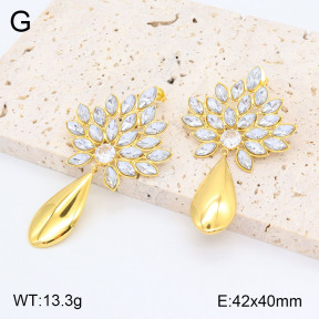 2E4004142bhjl-434  Stainless Steel Earrings