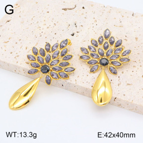 2E4004143bhjl-434  Stainless Steel Earrings