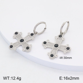 2E4004144vhhl-434  Stainless Steel Earrings