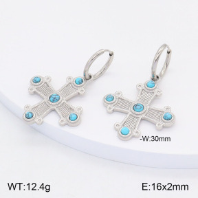 2E4004145vhhl-434  Stainless Steel Earrings