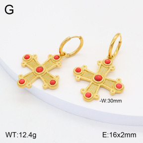2E4004147ahjb-434  Stainless Steel Earrings