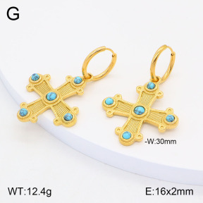 2E4004148ahjb-434  Stainless Steel Earrings