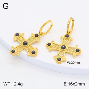 2E4004149ahjb-434  Stainless Steel Earrings