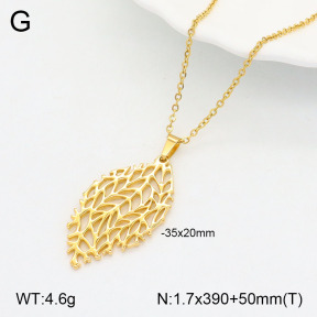 2N2005234aakl-434  Stainless Steel Necklace