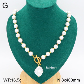 2N3002308bhva-749  Stainless Steel Necklace