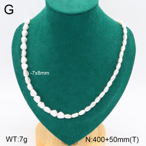 2N3002309vbmb-749  Stainless Steel Necklace