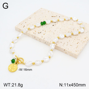 2N3002310bhia-749  Stainless Steel Necklace