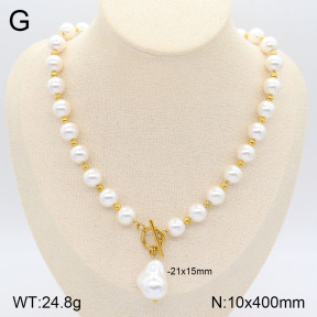 2N3002311bhia-749  Stainless Steel Necklace