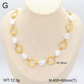 2N3002315vbpb-749  Stainless Steel Necklace