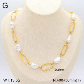 2N3002317vbpb-749  Stainless Steel Necklace