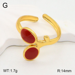 2R3000296baka-434  Stainless Steel Ring