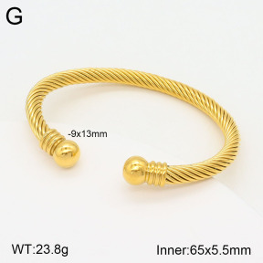 2BA201779vbnl-387  Stainless Steel Bangle
