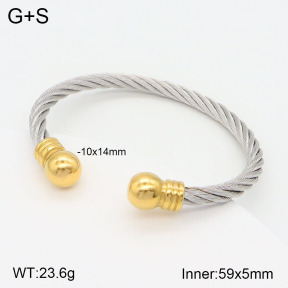 2BA201780bbml-387  Stainless Steel Bangle