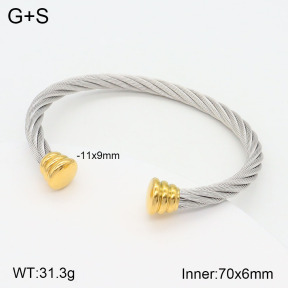 2BA201781bbml-387  Stainless Steel Bangle