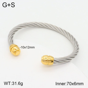 2BA201784bbml-387  Stainless Steel Bangle