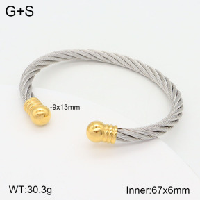 2BA201785bbml-387  Stainless Steel Bangle