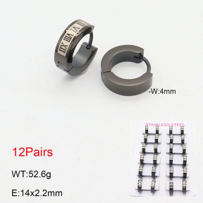 2E2005513akia-387  Stainless Steel Earrings