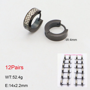2E2005514akia-387  Stainless Steel Earrings
