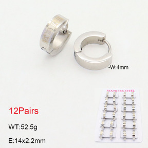 2E2005515ajma-387  Stainless Steel Earrings