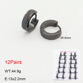 2E2005517alka-387  Stainless Steel Earrings